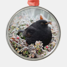 Winter Blackbird Ceramic Ornament