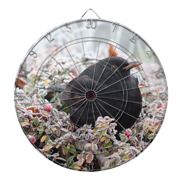 Winter Blackbird Darttavla (Framsidan)