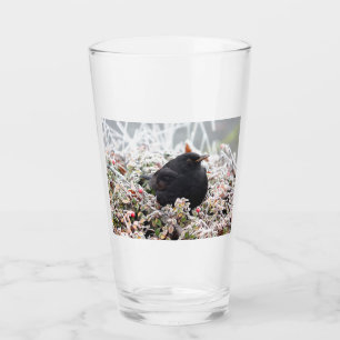 Winter Blackbird Glaskopp