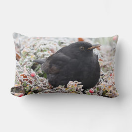 Winter Blackbird Lumbarkudde