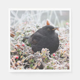 Winter Blackbird Pappersservett