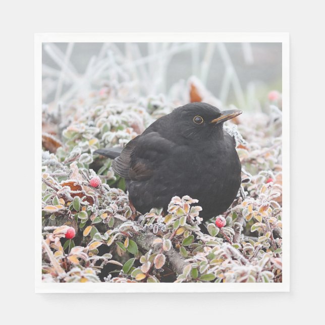 Winter Blackbird Pappersservett (Framsidan)