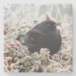 Winter Blackbird Stenunderlägg