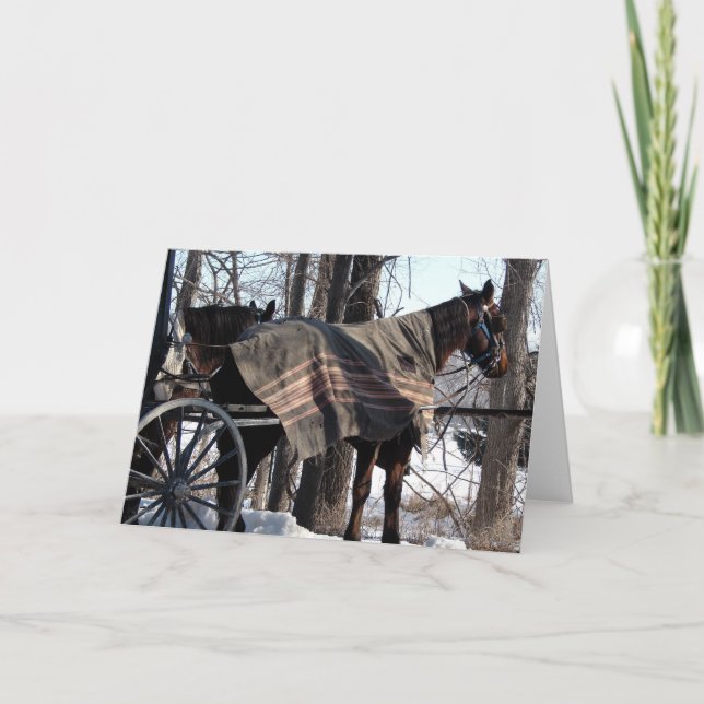 Winter Blanket Kort (Framsida)