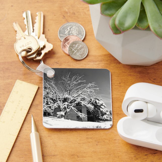 Winter Blast B+W Nyckelring (Skrivbord)