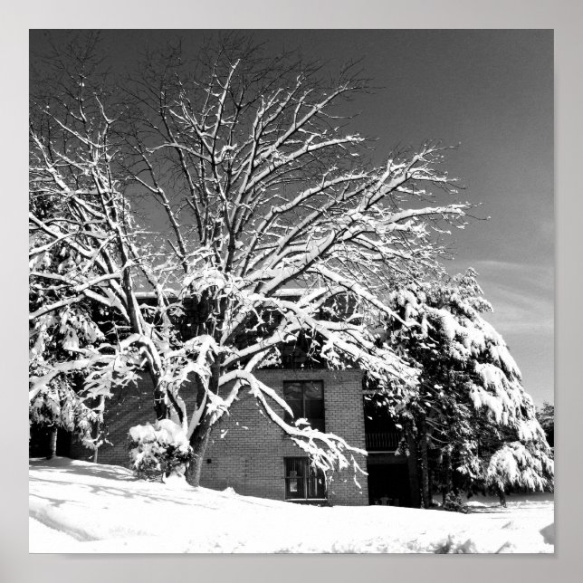 Winter Blast B+W Poster (Framsidan)