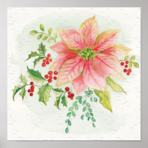 Winter Blooms   Rosa Blooming Poinsettia Poster