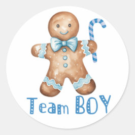 Winter Blue Cookie Team Boy Sticker Runt Klistermärke