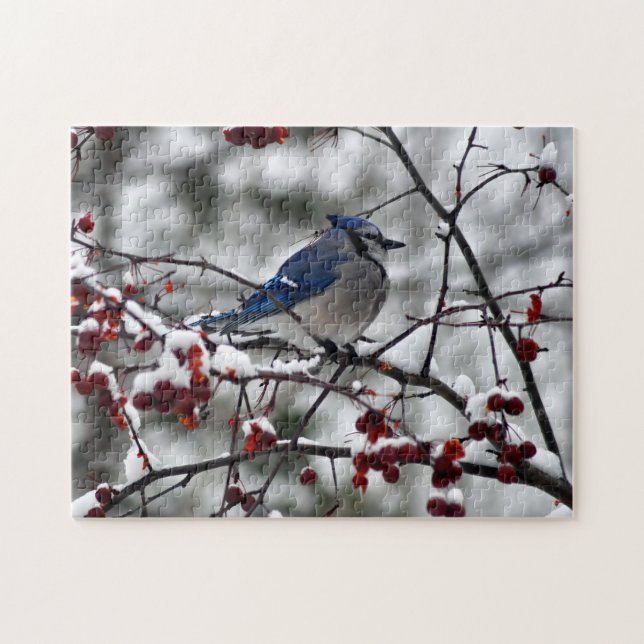 Winter Blue Jay Pussel (Horisontell)