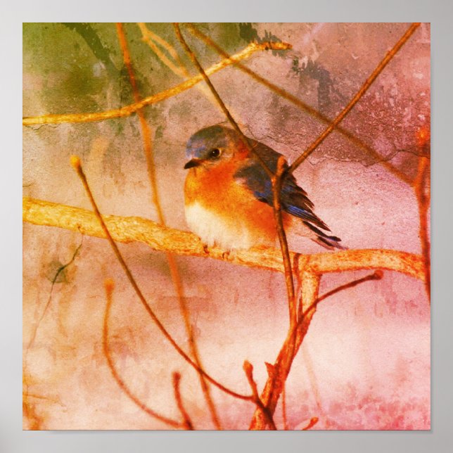 Winter Bluebird Abstrakt Grunge Poster (Framsidan)