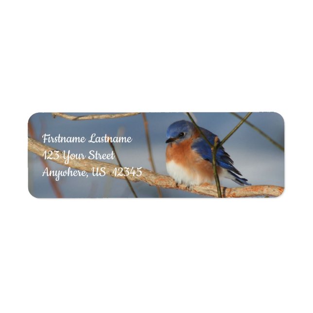 Winter Bluebird Animal Adress Returadress Etikett (Framsidan)