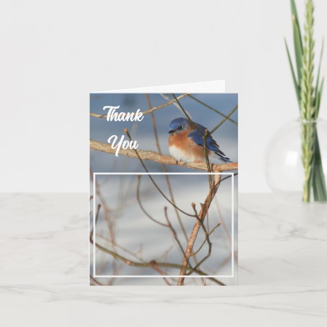 Winter Bluebird Bröllop Photo Tack Kort (Framsida)