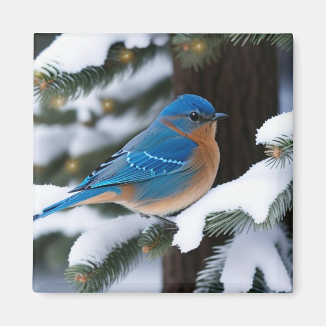 Winter Bluebird Magnet (Framsidan)