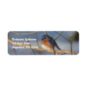 Winter Bluebird Nature Art Adress Returadress Etikett