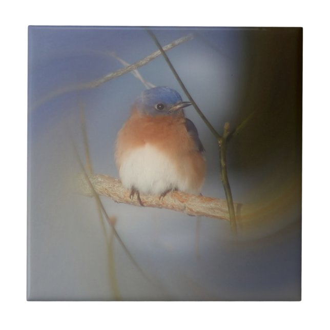 Winter Bluebird Nature Kakelplatta (Framsidan)
