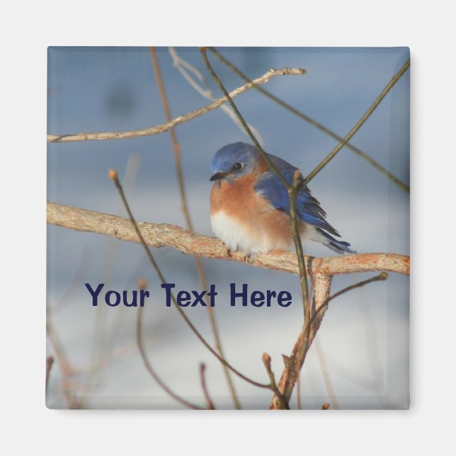 Winter Bluebird Personlig Animal Magnet (Framsidan)