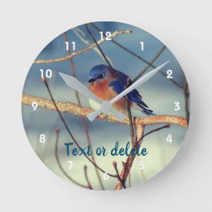 Winter Bluebird Personlig Rund Klocka