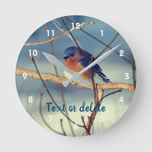 Winter Bluebird Personlig   Rund Klocka (Framsida)