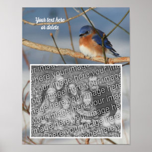 Winter Bluebird-Personligen Skapar ditt eget foto Poster