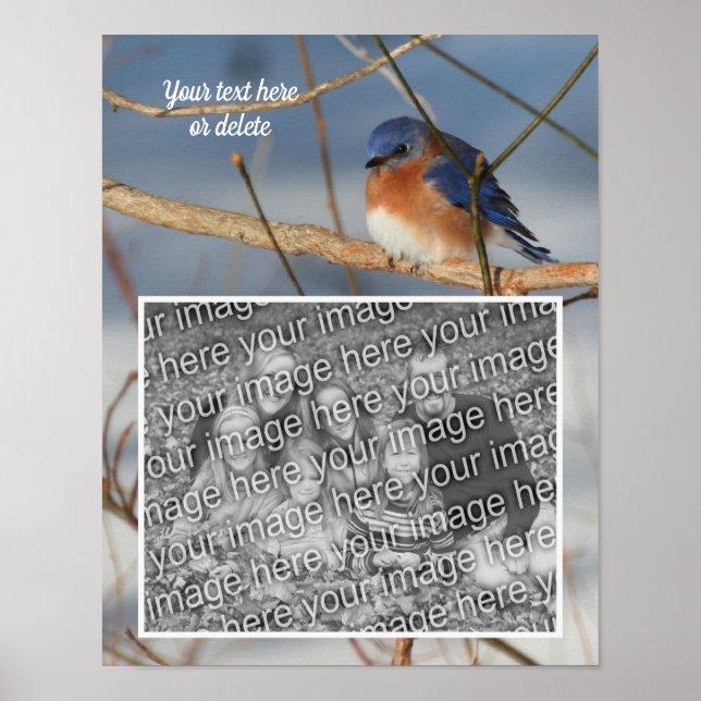 Winter Bluebird-Personligen Skapar ditt eget foto Poster (Framsidan)