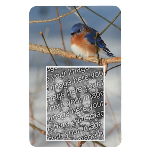Winter Bluebird Ram Skapar ditt eget foto Magnet (Vertikal)