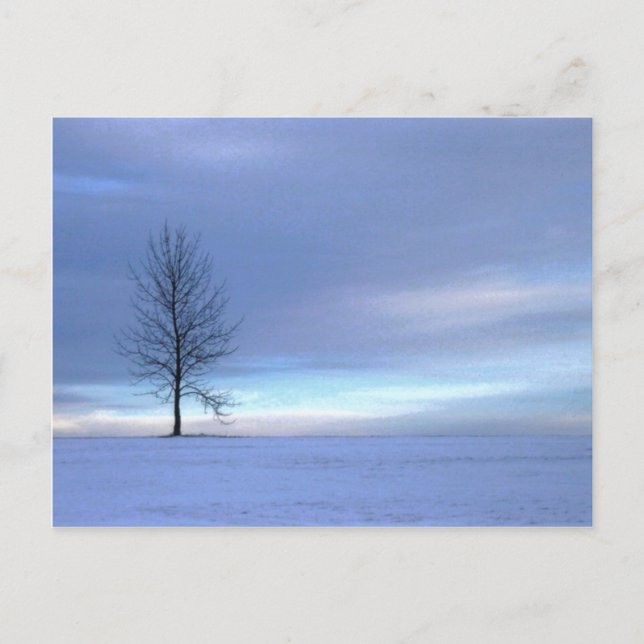 Winter Blues Vykort (Framsida)
