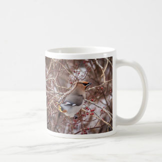 Winter Bohemian Waxwing Kaffemugg