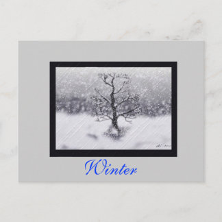 Winter Born Vykort