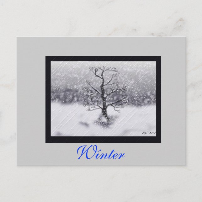 Winter Born Vykort (Framsida)
