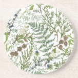 Winter Botanical Underlägg<br><div class="desc">Vinterbotaniskt Underlägg</div>