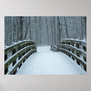 Winter Bridge Poster