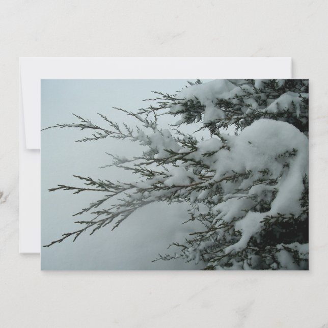 Winter-bröllopet Evergreen Träd med Snö Inbjudningar (Framsida)