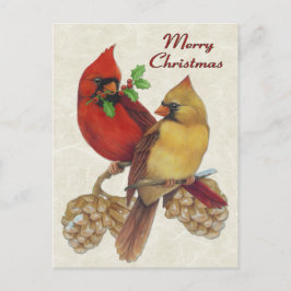 Winter Cardinals Helg Vykort