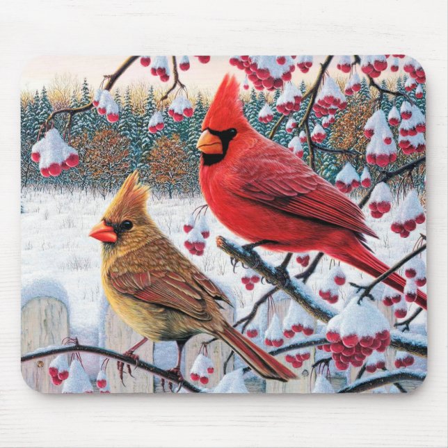 Winter Cardinals Musmatta (Framsidan)