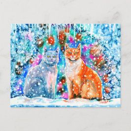 Winter Cats Vykort