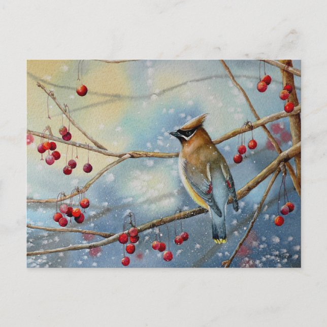 Winter Cedar Waxwing Bird & Berries Watercolor Art Vykort (Framsida)
