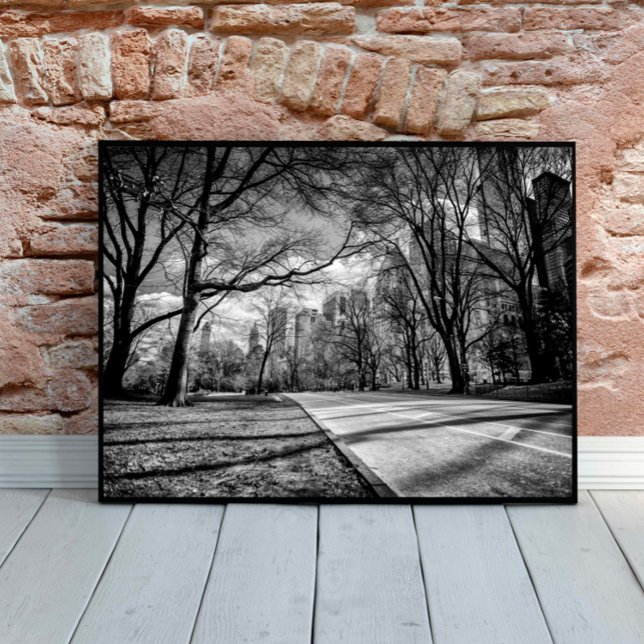 Winter Central Park New York City Black and White Poster (Skapare uppladdad)