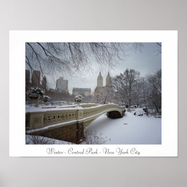 Winter - Central Park - New York City Poster (Framsidan)