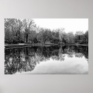 Winter Central Park, NYC Landscape Poster