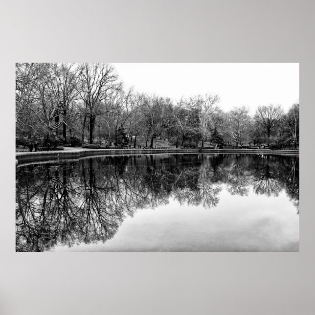 Winter Central Park, NYC Landscape Poster (Framsidan)