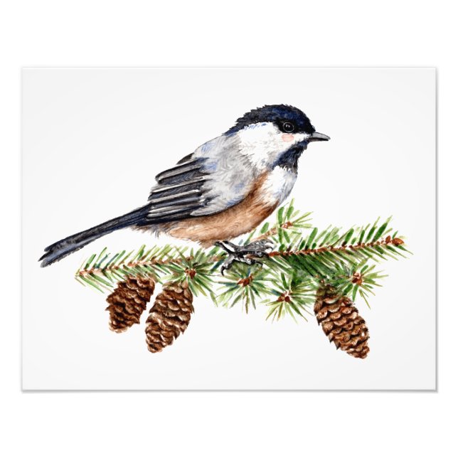Winter Chickadee Fototryck (Framsidan)