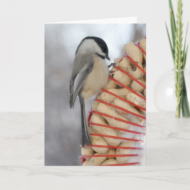 Winter Chickadee Kort (Framsida)