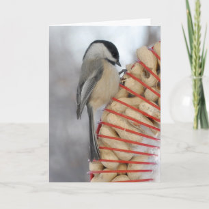 Winter Chickadee Kort