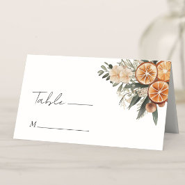 Winter Citrus Blommigt Elegant jul Bröllop Placeringskort