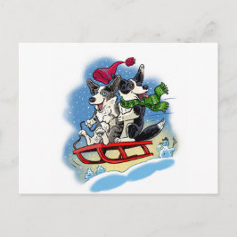 Winter Corgis Vykort