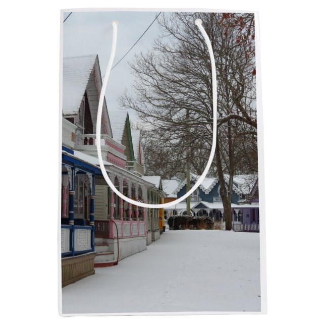 Winter Cottages - Martha's Vineyard (Framsidan)