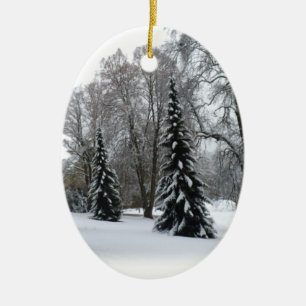 Winter Decor-Personligen för ornament i Winter Trä