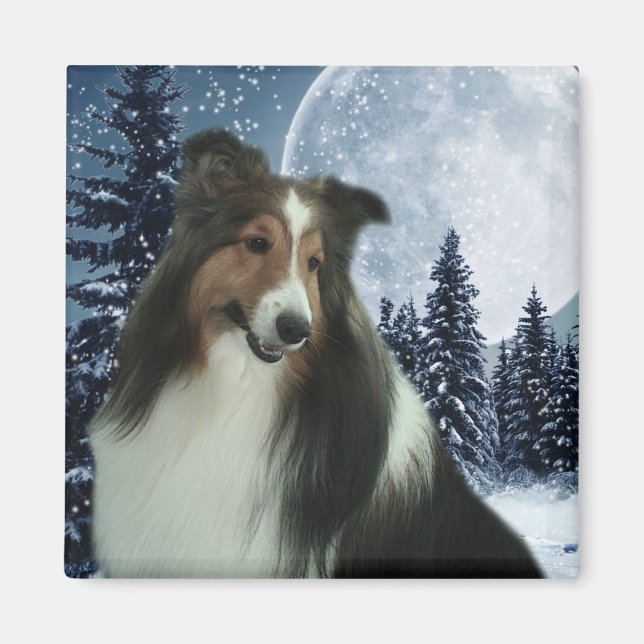 Winter Duncan Magnet (Framsidan)