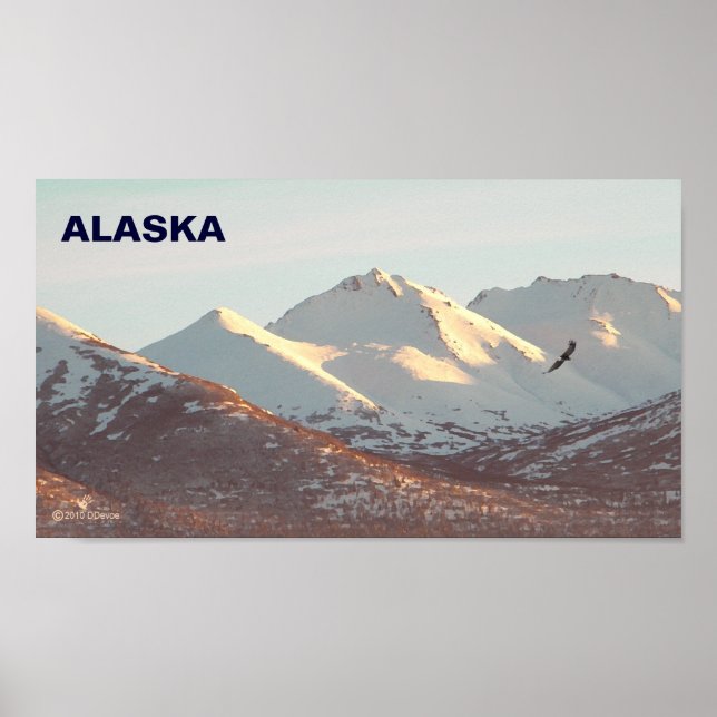 Winter Eagle Poster (Framsidan)