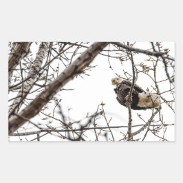 Winter Eagle Sticker Rektangulärt Klistermärke